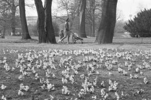 Frühling im Stadtgarten Karlsruhe