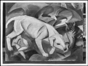 Hund, Fuchs und Katze