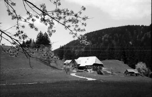 Schwarzwaldhof an der B 31 bei Breitnau mit dem Weg im Vordergrund
