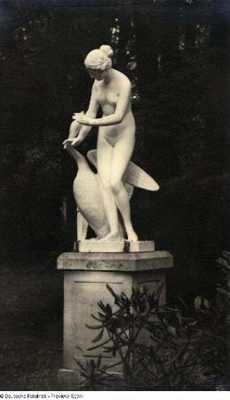 Leda mit dem Schwan