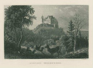 Schloß Callenberg
