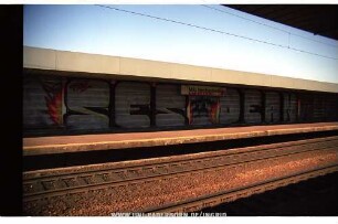 SES DEAN