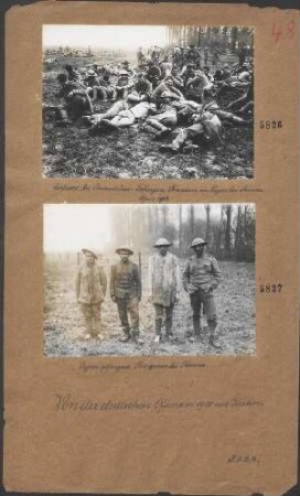 Schlacht bei Armentiéres: Gefangene Franzosen im Lager bei Fournes