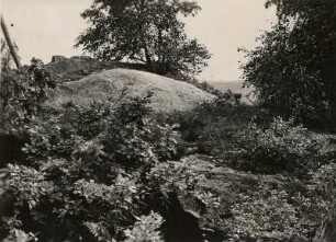 Jesau. Steinberg, mittlerer Hügel. Rundhöcker auf dem Gipfel