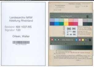 Entnazifizierung Walter Orlean , geb. 04.12.1899 (Rechtsanwalt)