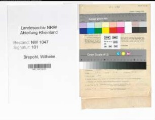Entnazifizierung Wilhelm Brepohl , geb. 22.09.1893 (Schriftleiter)
