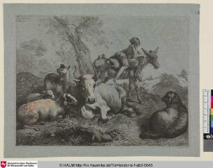 [Eine Kuh, zwei Schaffe und ein Lamm sitzend, eine stehende Ziege, in der Ferne ein Knabe mit dem Esel]