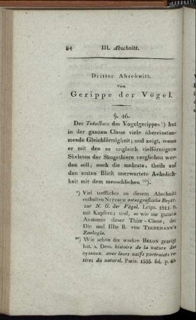 Dritter Abschnitt. Vom Gerippe der Vögel