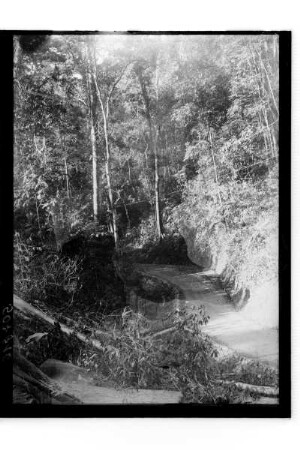 Straßenbau in Thailand : Südthailand. Straßenbau im Dschungel, 1912/1913