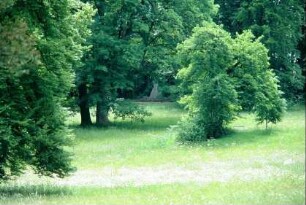 Schlosspark; Bank zwischen Bäumen