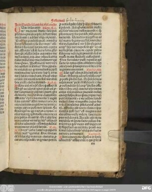 [Eigenfeste der Franziskaner]