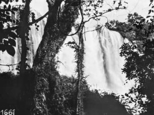 Ein Wasserfall : Blick duch die Bäume auf einen Wasserfall