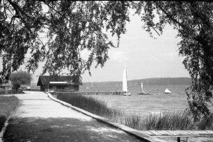 Feldafing: Strandpromenade, Vordergrund Äste