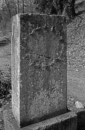 Bad Freienwalde