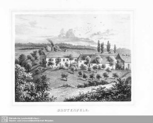Brotenfeld