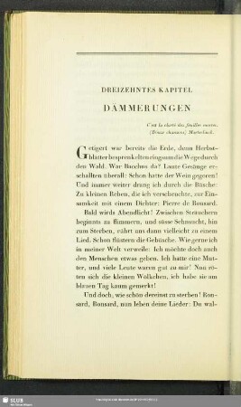 Dreizehntes Kapitel: Dämmerungen
