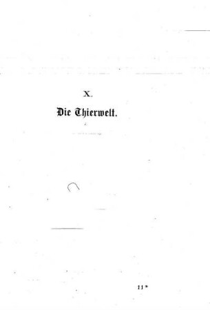 X. Die Thierwelt