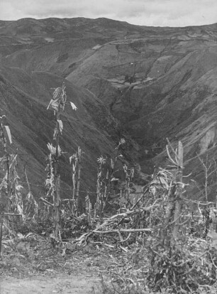 Schlucht (Lateinamerika-Aufenthalte 1928/1942 – Album Das Vulkanland im Süden Kolumbiens. II. Teil, 1940)