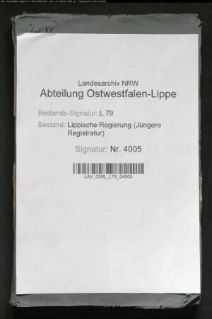 Anstellung der Lehrer am Gymnasium Detmold, Band 11