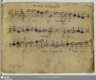[Josquin des Prez:] Qui regis Israel