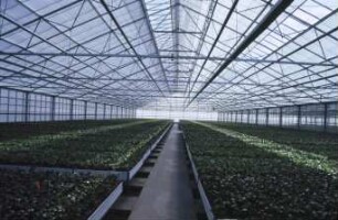 Fotografie: Gartenbautechnik-Gewächshaus, Bau