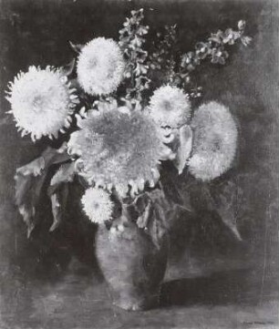 Sonnenrosen