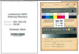 Entnazifizierung Maria Ruebsaat, geb. 10.04.1922 (Stenotyp.)