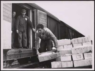 Verladen der eisgekühlten Fanges in Waggons