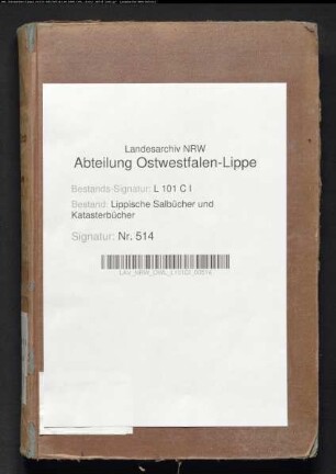 Salbuch der Stadt Blomberg von 1854, Bd. 1 (Duplikat)