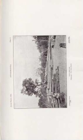 Plate D. Anurádhápura. Puliyankulam. Pilima-gé: View from South