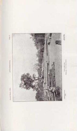 Plate D. Anurádhápura. Puliyankulam. Pilima-gé: View from South