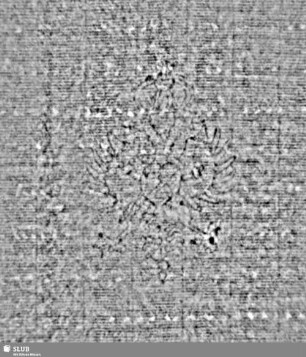Doppeladler (gekrönt) + Z = S.1021/1022