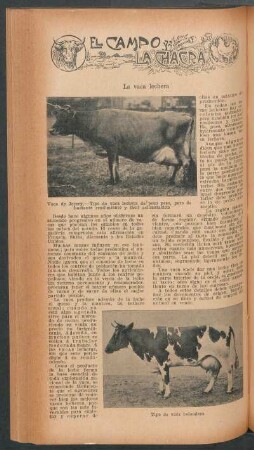 La vaca lechera : El campo y la chacra