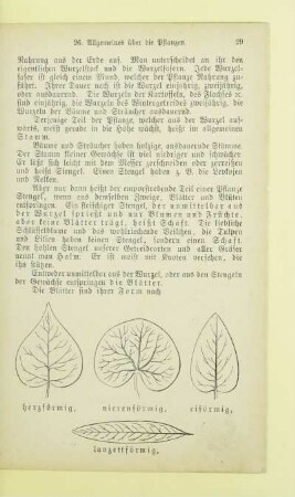 Algemeines über die Pflanzen