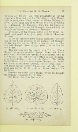 Algemeines über die Pflanzen