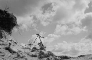Hiddensee: Kinder beim Baden, Landschaften, Meeresaufnahmen : Blick auf eine Küstenlandschaft