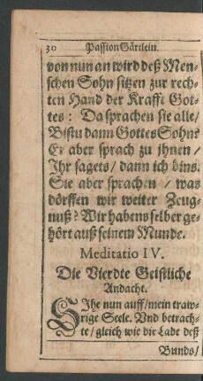 Meditatio IV.