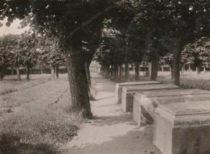 Herrnhuter Gottesacker. Grabsteine der Familie von Zinzendorf