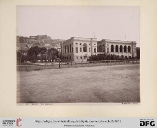 No. 8103 Napoli Villa Nazionale