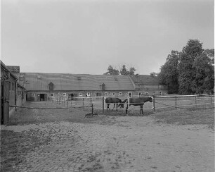 Wirtschaftshof : Gutshof (Vollblutgestüt Lehn; um 1730, 19. Jh.). Blick auf Stallungen und Koppeln im Wirtschaftshof