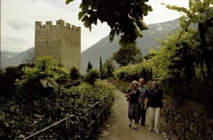 Meran: Weinberg am Tappeiner Weg mit Pulverturm
