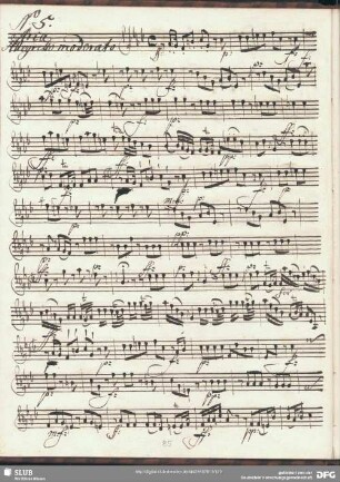 No. 5 Aria: Voi non sapete quanto