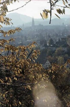 Freiburg i. Br.: Von der Eichhalde auf Herbstbäume in Richtung Münster