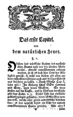 Das erste Capitel. von dem natürlichen Feuer.