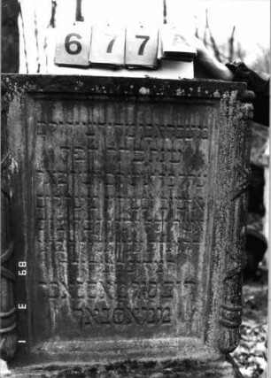 Grabstein 677 (Index: 99752405) Material: Sandstein Zustand: Abschluß fehlt, sonst gut Maße HxBxT: 119x59x52 cm Beschreibung: Stele, getreppter Sockel, rechteckige Schriftfelder eingetieft Symbolik: gesenkte Fackeln: Grabstein 677A