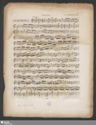 Violino.