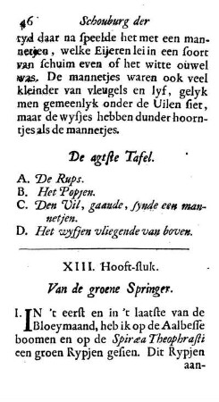 XIII. Hooft-stuk. Van de groene Springer