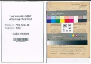 Entnazifizierung Herbert Balke , geb. 08.03.1916 (Landwirt)