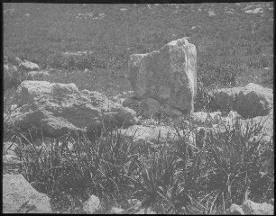 Steinkreis bei 'etun musa [wohl: Ejun musa]