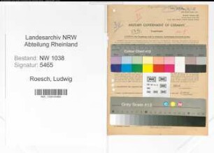 Entnazifizierung Ludwig Roesch , geb. 18.09.1898 (Bahnbeamter)
